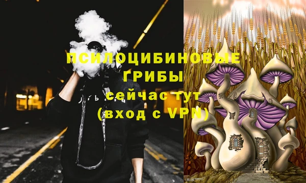 мяу мяу мука Армянск