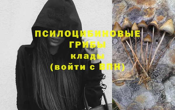 соль курить ск Арсеньев