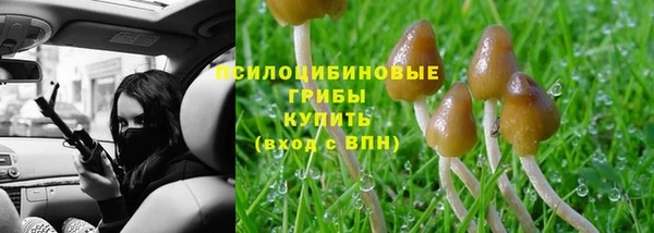 герыч Балахна