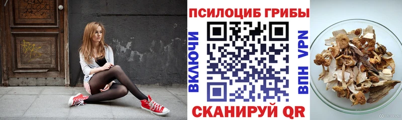 Псилоцибиновые грибы GOLDEN TEACHER  Киселёвск 