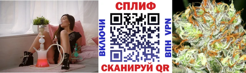 Шишки марихуана Amnesia  mega вход  Киселёвск 